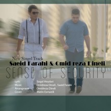 دانلود آهنگ جدید سعید فرهی و امید رضا دینل به نام احساس امنیت