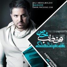 دانلود آهنگ جدید علی عبدالمالکی به نام نشد