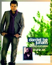 دانلود آهنگ جدید علی عبدالمالکی به نام دردت به جونم 2