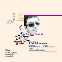 دانلود آهنگ جدید طاها حقیقی به نام بردی از یادم