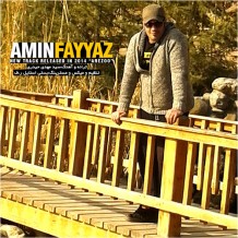 دانلود آهنگ جدید امین فیاض به نام آرزو