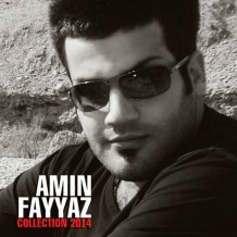 Amin Fayyaz – Collection 2014