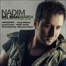 دانلود آهنگ جدید ندیم به نام دل بی قراره