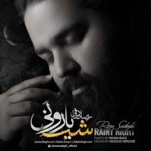 Reza Sadeghi – Shabe Barooni