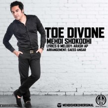 Mehdi Shokoohi – Toe Divone