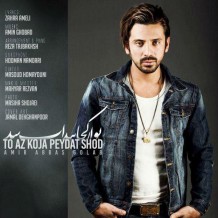Amir Abbas Golab – To Az Koja Peydat Shod