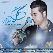 Eghbal Habibi – Gole Man