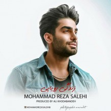 Mohammad Reza Salehi – Zendegie Royaei