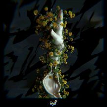 Mahdyar Aghajani – Gomrok