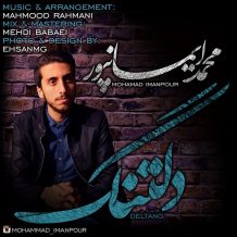 Mohammad Imanpour – Deltang