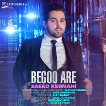 Saeed Kermani – Begoo Are