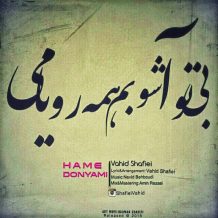Vahid Shafiei – Hame Donyami