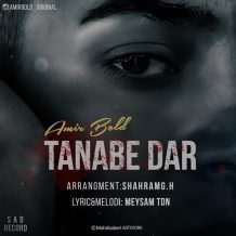 Amir Bold – Tanabe Dar