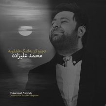 Mohammad Alizadeh – Docharam Kon Be Ashke Asheghooneh