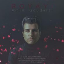Amin Goudarzi – Royayi
