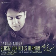 Farhad Miran – Sensiz Ben Nefes Alamam