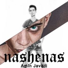 AmIn Javadi – Nashenas