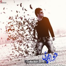 Farzad Shojaei – Collection 2016