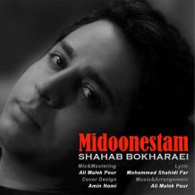 Shahab Bokharaei – Midoonestam