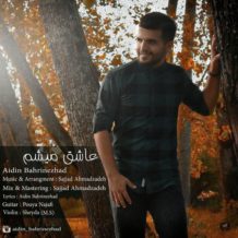 Aidin Bahrinezhad – Ashegh Misham