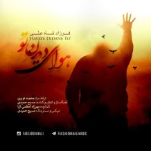 Farzad Shahali – Havaye Didane To