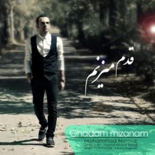 Mohammad Norouzi – Ghadam Mizanam
