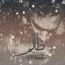 Reza Live – Zalem