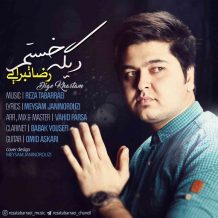Reza Tabarraei – Dige Khastam