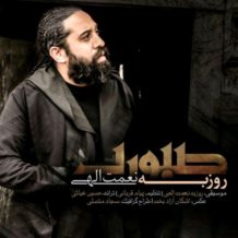 Roozbeh Nematollahi – Saboori