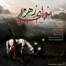 Amir Tavan – Navaye Zahra