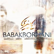 Babak Borhani – Paeizi