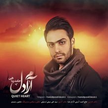 Hamed Panahi – Arame Del