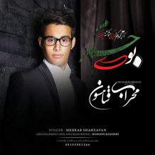 Mehrab Shahsavan – Boye Haram