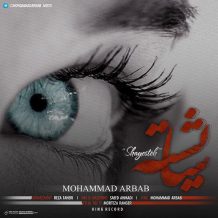 Mohammad Arbab – Shayeste