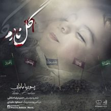 Pourya Babaei – Gole Nazam