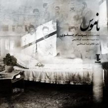 Behnam Safavi – Namoos