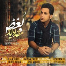 Meghdad Ayaz – Boghz