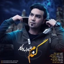 Alireza Roozegar – Gandom