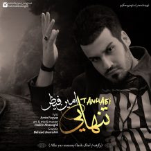 Amin Fayyaz – Tanhaei