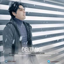 Yousef Zamani – Deltangi