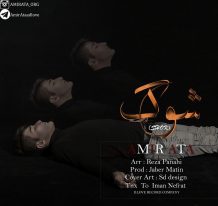 Amir Ata – Shook