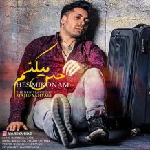 Majid Yahyaei – Hes Mikonam