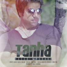 Saeed Mousavi – Tanha