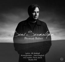 Peyman Baher – Seni Sevmaliyem