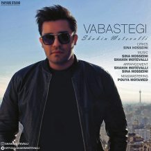 Shahin Motevalli – Vabastegi
