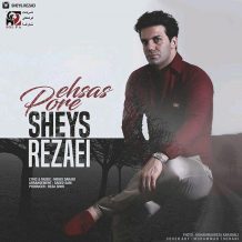 Sheys Rezaei – Pore Ehsas