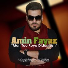 Amin Fayyaz – Man Too Roya Didamesh