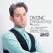 Farzin Kateb – Divoone