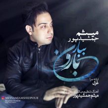 Meysam Jamshidpour – Bebar Baroon