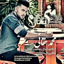 Mohammad Haghani – Bato Man Baharam
